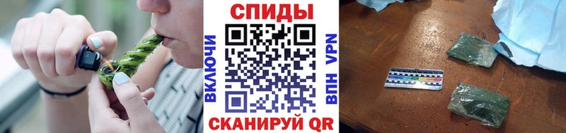 магазин    Салехард  Бутират BDO 33% 