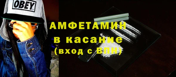 шишки Аркадак