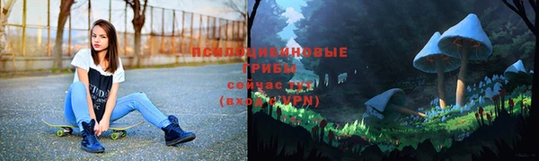 spice Армянск