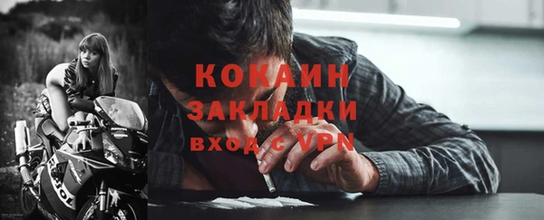 шишки Аркадак