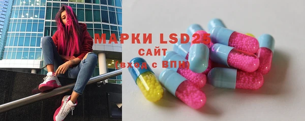 шишки Аркадак