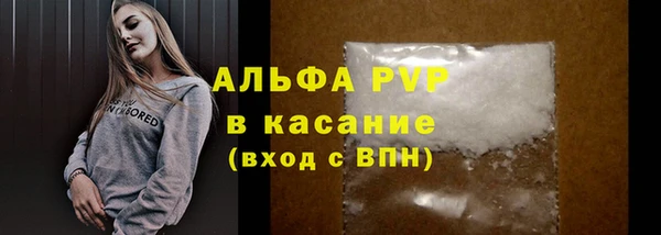 шишки Аркадак