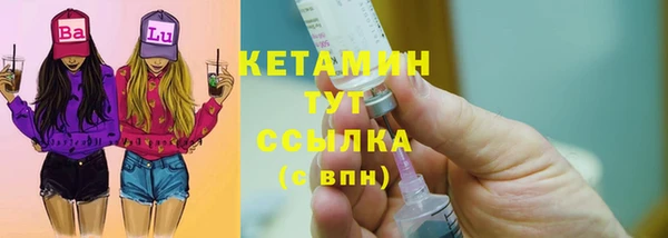 гашик Пестово