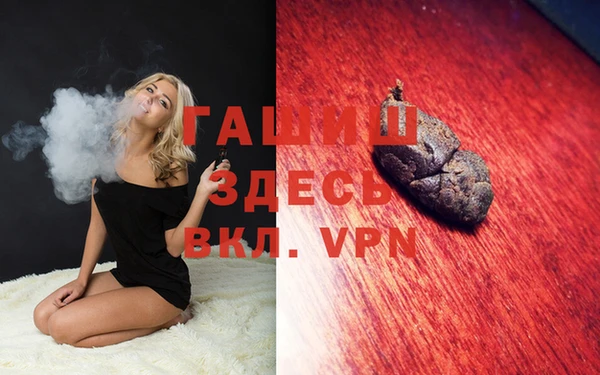шишки Аркадак