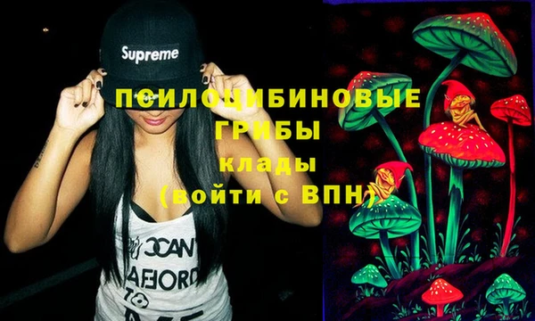 шишки Аркадак