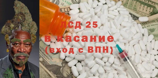 шишки Аркадак