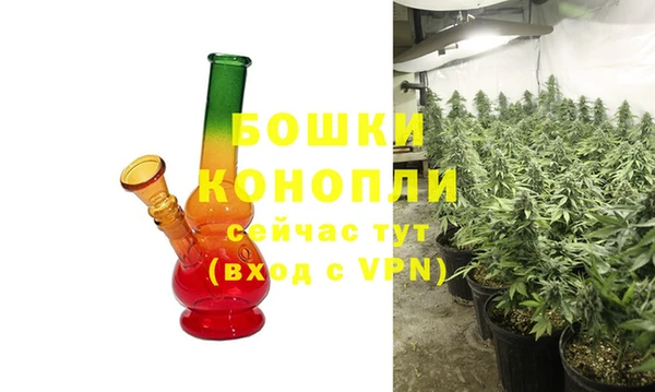 шишки Аркадак