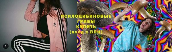 шишки Аркадак