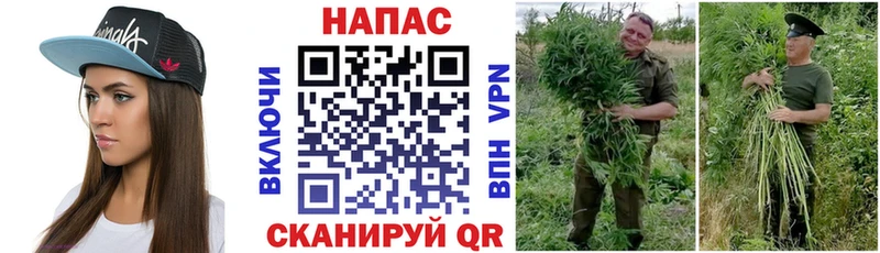 Бошки Шишки LSD WEED  продажа наркотиков  Салехард 